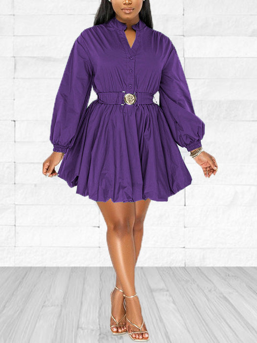 Stand Collar Long Sleeve A-line Mini Dress